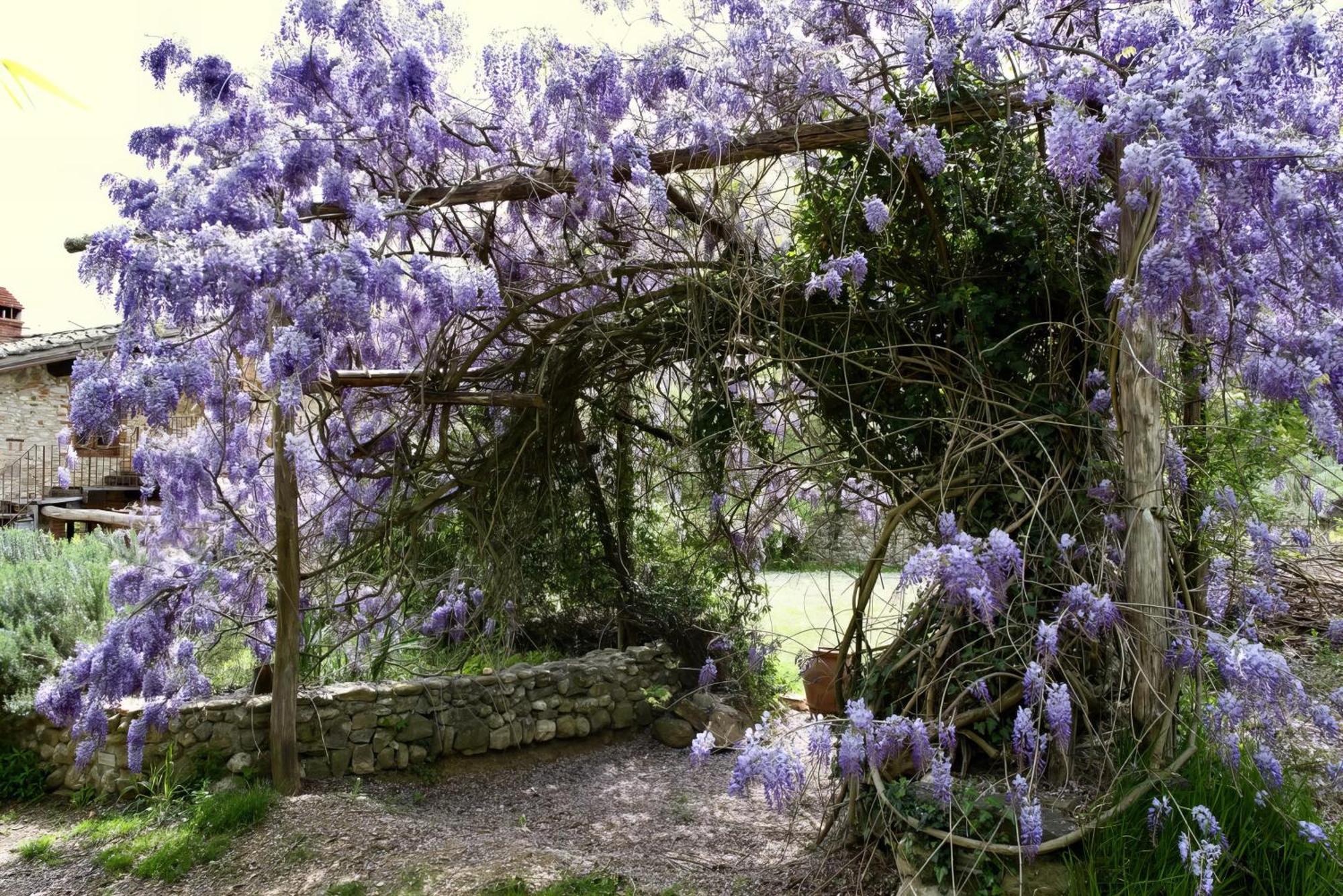 Villa Molino In Chianti Mercatale Val Di Pesa Exterior foto
